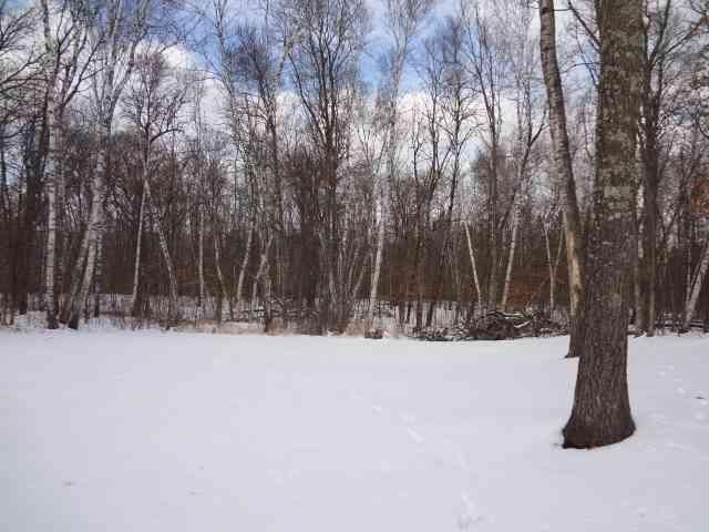7384 Dove St, Breezy Point, MN 56472