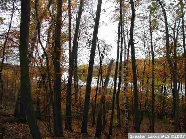 xxx Bald Eagle Dr, Riverton, MN 56455