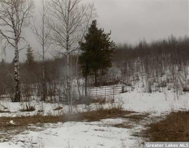 TBD County Road 2, Shevlin, MN 56676