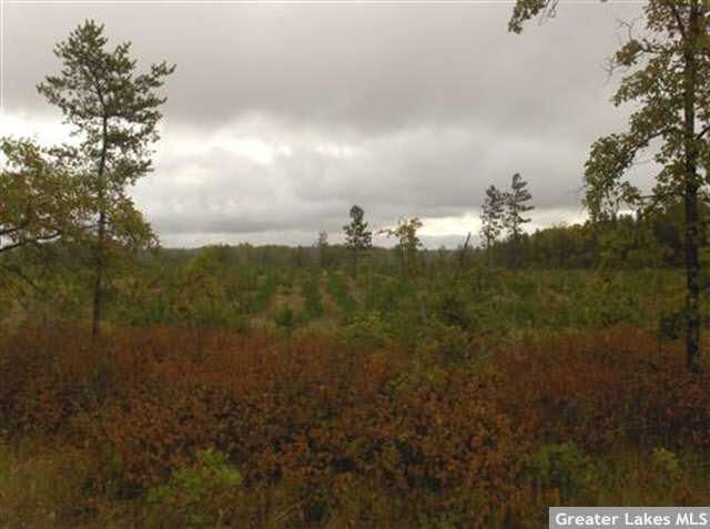 TBD 143rd St, Menahga, MN 56464