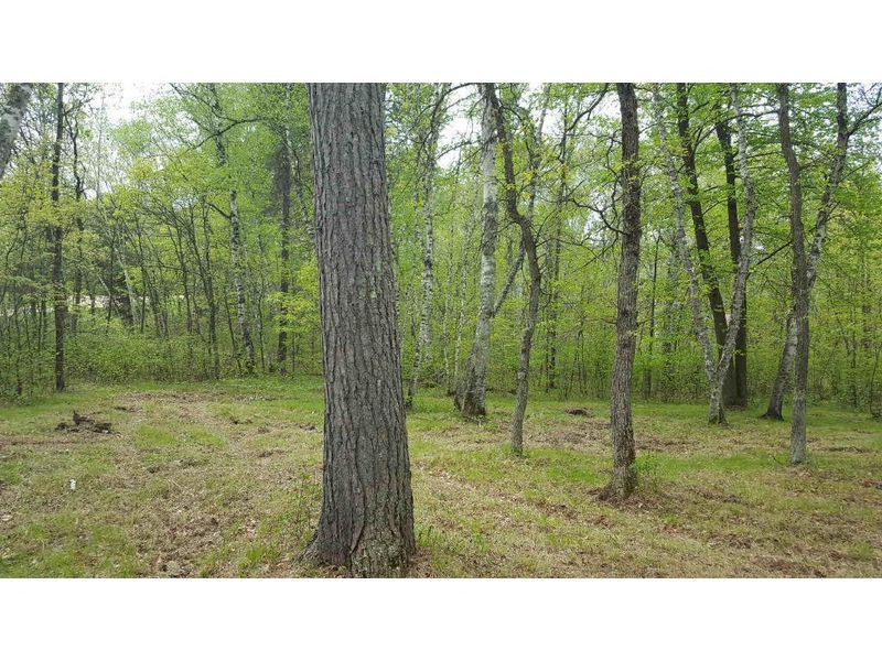 24581 Evergreen Dr, Nevis, MN 56467
