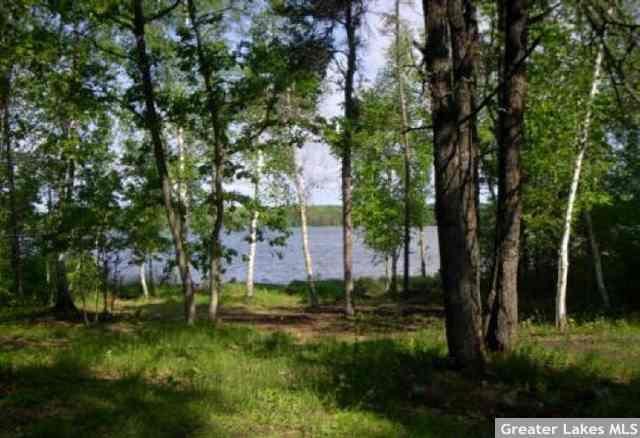 24581 Evergreen Dr, Nevis, MN 56467