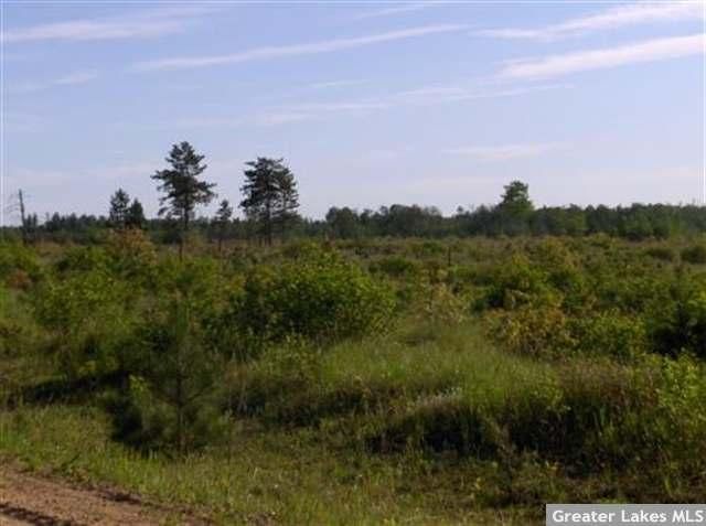 SWSW 229th Ave, Menahga, MN 56464