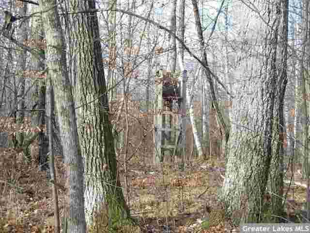 000 NE 12th St, Pine River, MN 56474