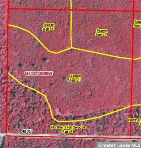 TBD 480th St, Bemidji, MN 56601