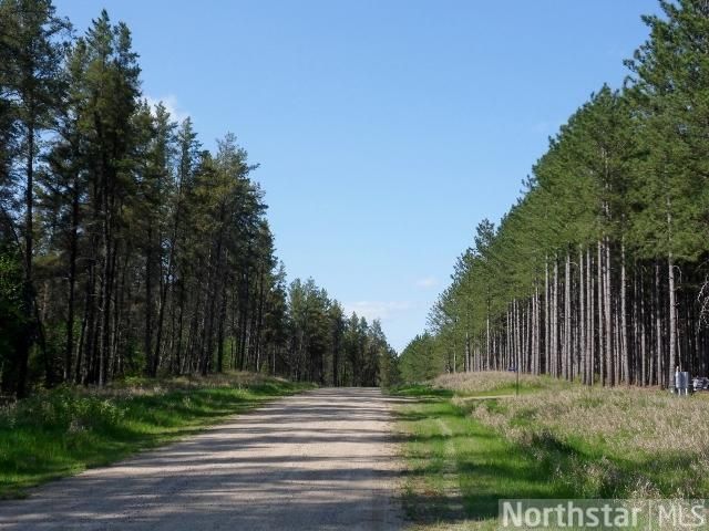 Lot 11 Eaglehaven Trl, Nevis, MN 56470