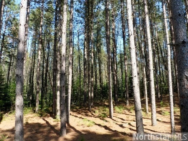 Lot 11 Eaglehaven Trl, Nevis, MN 56470