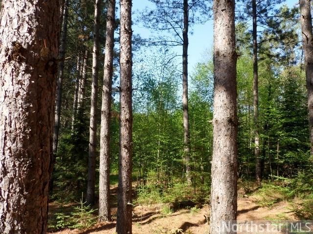 Lot 11 Eaglehaven Trl, Nevis, MN 56470