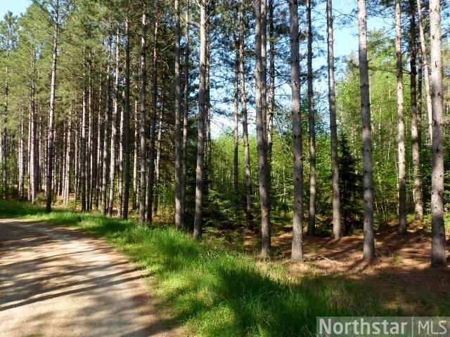 Lot 11 Eaglehaven Trl, Nevis, MN 56470