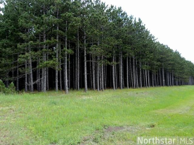 XXX Hwy 87, Park Rapids, MN 56470