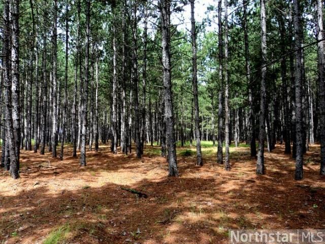 XXX Hwy 87, Park Rapids, MN 56470