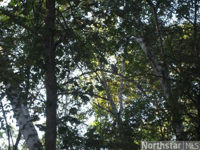 xxx 192nd Ave NE, Wyoming, MN 55092