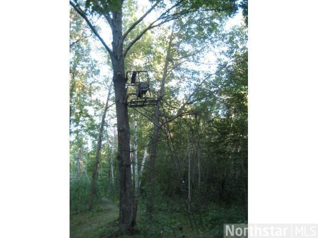 xxx 192nd Ave NE, Wyoming, MN 55092