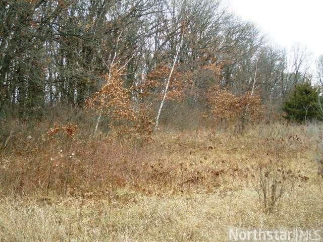 XXX 182nd Ave, Becker, MN 55308