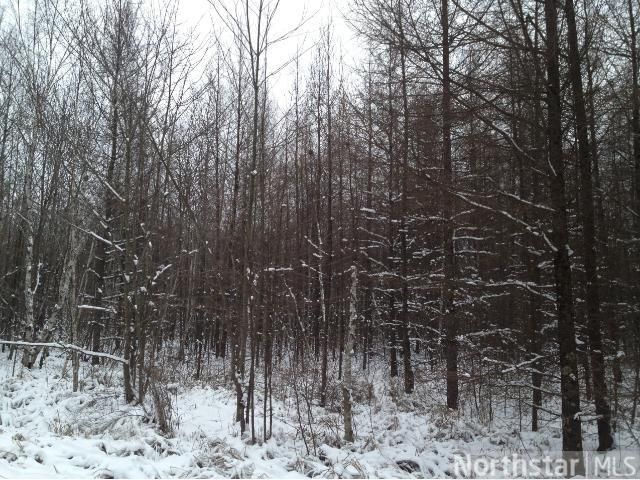 xxx County Road 32, Askov, MN 55704