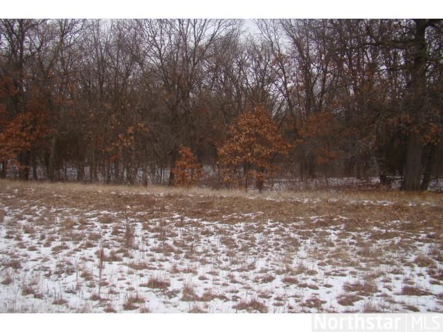 TBD 93rd St, Royalton, MN 56373