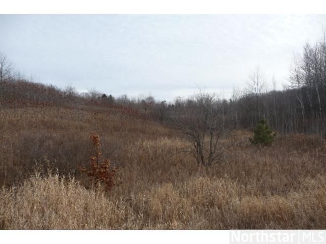 1481 280th Ave, Luck, WI 54853