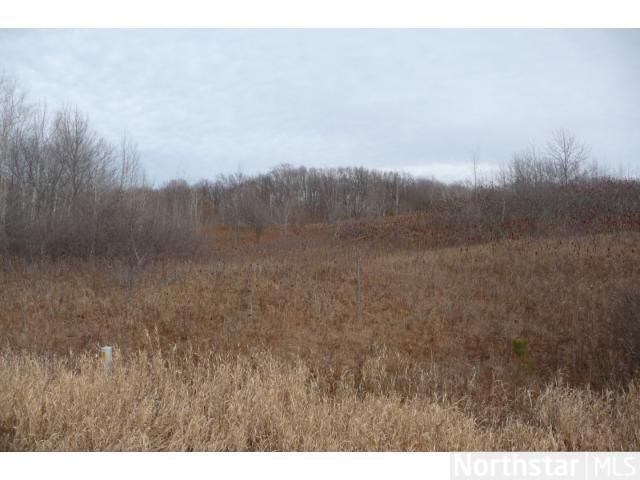 1481 280th Ave, Luck, WI 54853