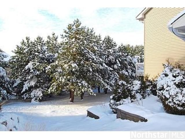 10845 Birch Ln, Woodbury, MN 55129
