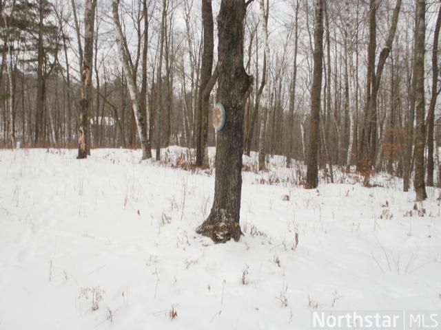 W2347 Belvidere, Sarona, WI 54870