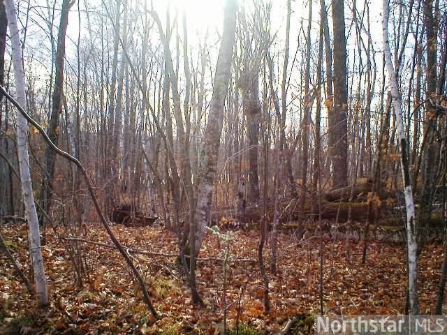 XXX NW North Trl, Hackensack, MN 56452