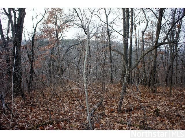 0 Hermanson Rd, Eleva, WI 54738