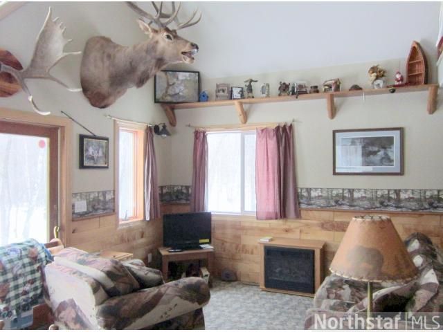35381 Mosswood Rd, Cushing, MN 56443