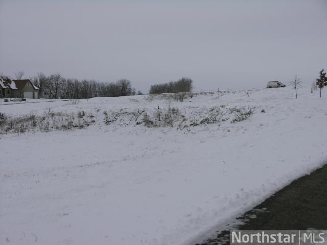 117 Bluff Ln, Dundas, MN 55019