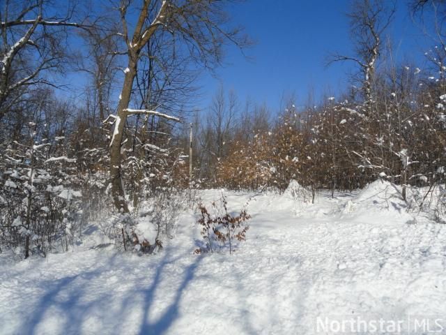 xxx 150th St, Audubon, MN 56511