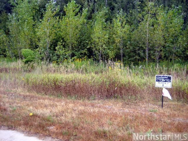 0 158th Ave NE, Andover, MN 55304
