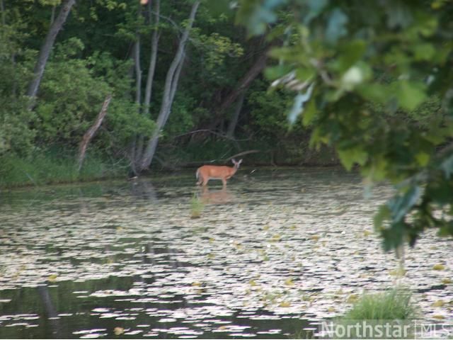 18682 Queen Cir NW, Elk River, MN 55330