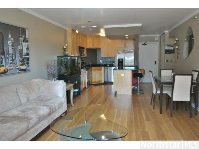 401 S 1st St #118, Minneapolis, MN 55401