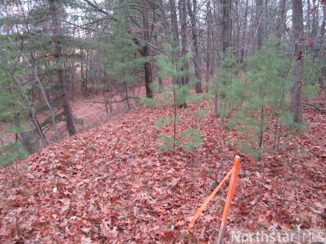 3536 115 St, Frederic, WI 54837