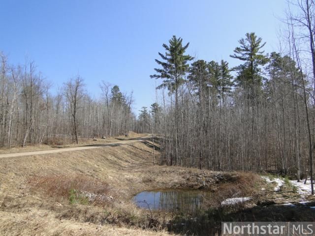 TBD Cardarelle Ct, Hackensack, MN 56452