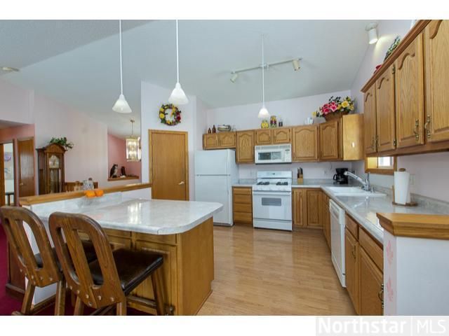 7138 Mill Rd, Hugo, MN 55038