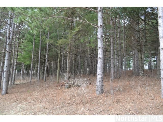 xxxx 219th, Forest Lake, MN 55025