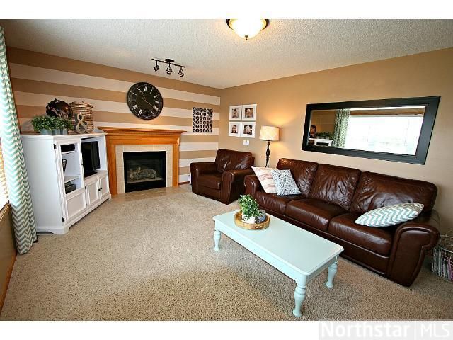 13895 Hill Place Dr, Rogers, MN 55374