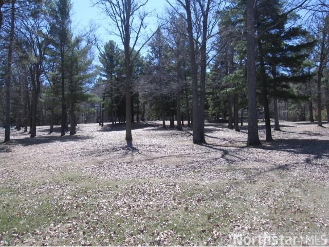 Tract 1 Walleye Way NW, Walker, MN 56484