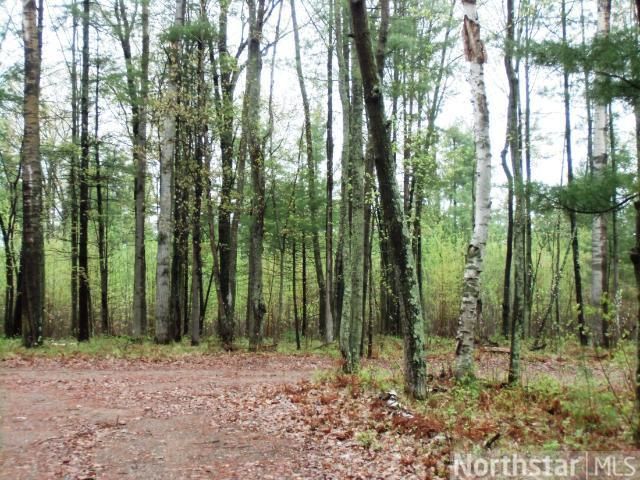 25318 Birch Haven Rd, Webster, WI 54893