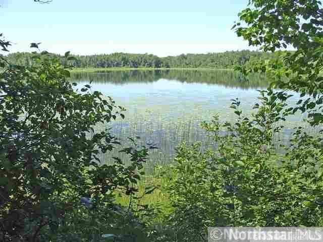 Parcel A Sorenson Lake Rd, Merrifield, MN 56465