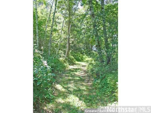 Parcel A Sorenson Lake Rd, Merrifield, MN 56465