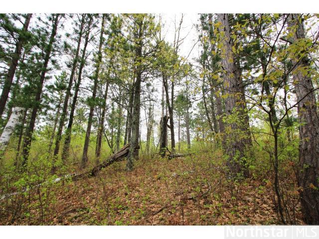 0 0 Cranberry Lake Rd, Barnes, WI 54873