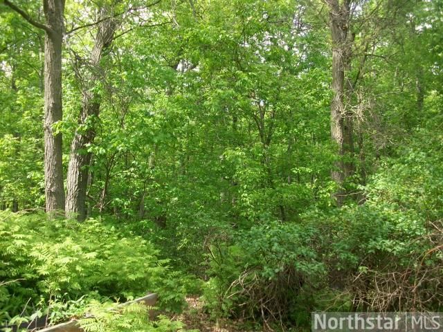 1921 60th Ave, Osceola, WI 54020