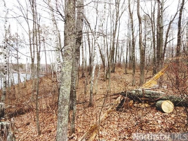Lot 21 Andrus Lake Rd, Outing, MN 56662