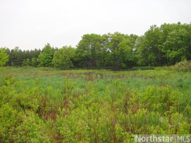 40 Acres Lincoln Dr, Fall Creek, WI 54742