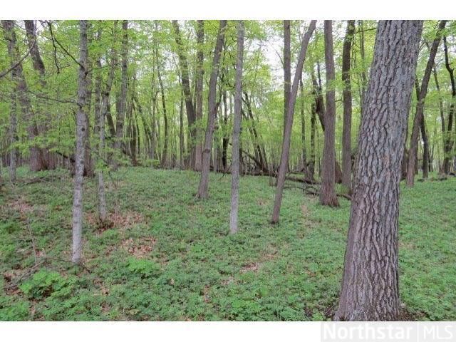 XXX Interlachen Rd, Lake Shore, MN 56468