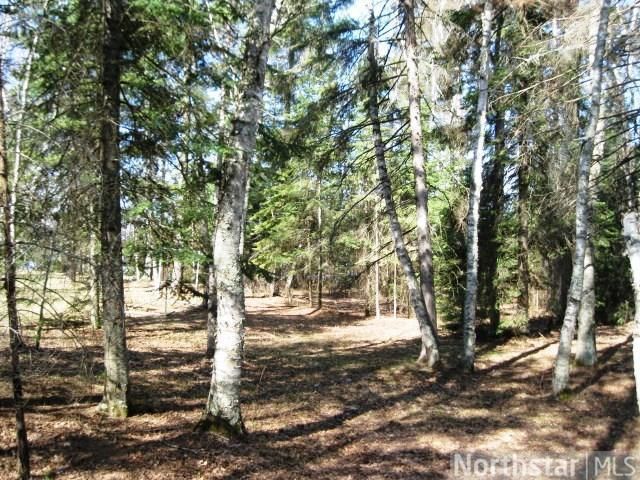 30045 Pickerel Rd, Laporte, MN 56461