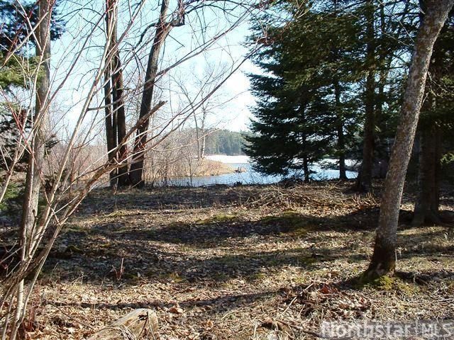 21319 Firefly Trl, Nevis, MN 56467