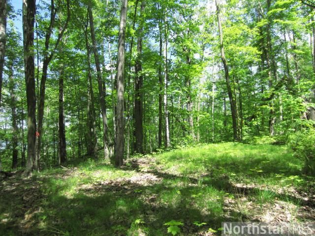 000 Mcavity Rd, Grand Rapids, MN 55744