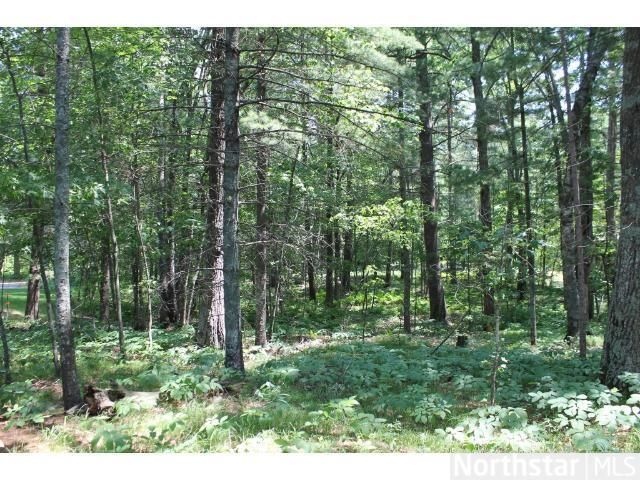 XXXX E Cullen Rd, Nisswa, MN 56468